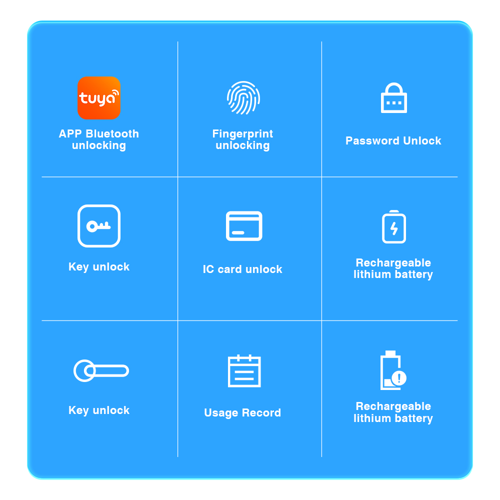 ICCSSI Tuya Bluetooth Smart Do - огляд і ціна Home Security Keypad